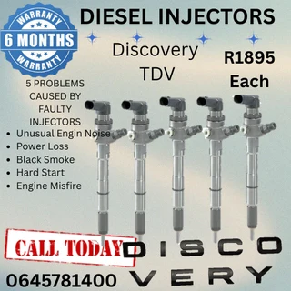 Discovery TDV diesel injectors