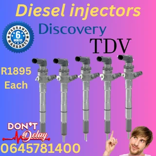 Discovery TDV diesel injectors