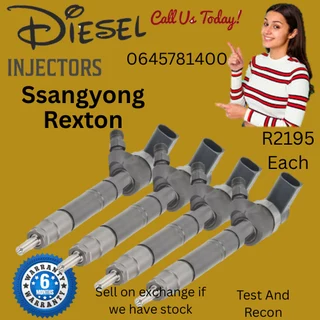 Ssangyong Rexton diesel injectors