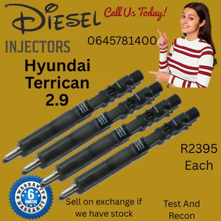 Hyundai Terrican 2.9 diesel injectors