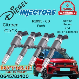 Citroen C2/C3 diesel injectors