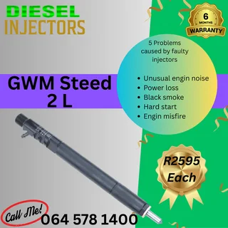 GWM Steed 2 L diesel injectors