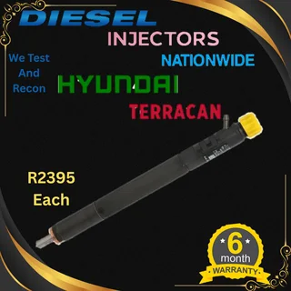 Hyundai Terracan diesel injectors