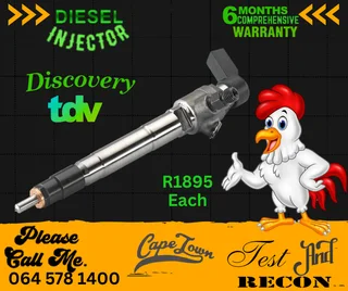 Discovery TDV diesel injectors