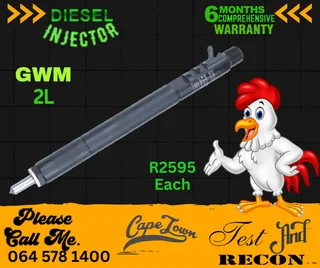 GWM 2 L Delphi diesel injectors