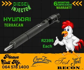 Hyundai Terracan diesel injectors