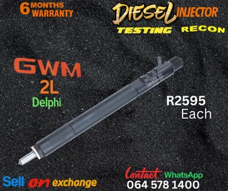 GWM 2 L Delphi diesel injectors