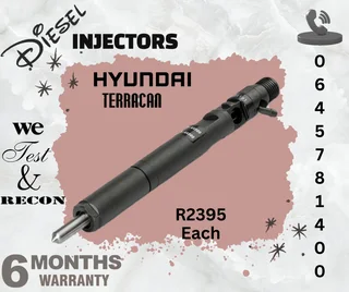 Hyundai Terracan diesel injectors