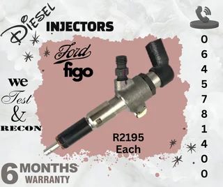 Ford Figo diesel injectors