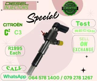 Citroen C2/C3 diesel injectors