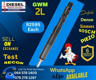 GWM 2 L Delphi diesel injectors