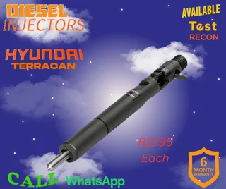 Hyundai Terracan diesel injectors