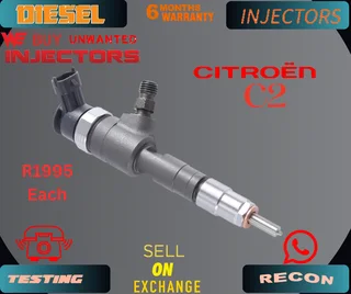 Citroen C2 diesel injectors