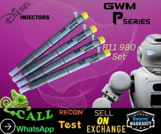 GWM Pseries diesel injectors