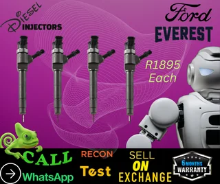 Ford Everest diesel injectors