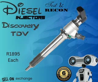 Discovery TDV diesel injectors