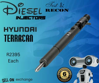 Hyundai Terracan diesel injectors