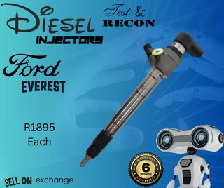 Ford Everest diesel injectors
