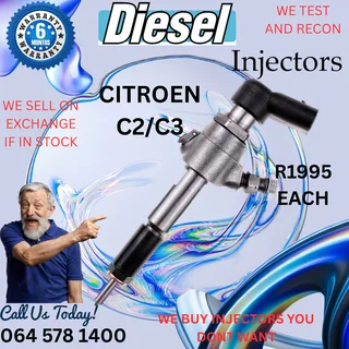 Citroen C2/C3 diesel injectors