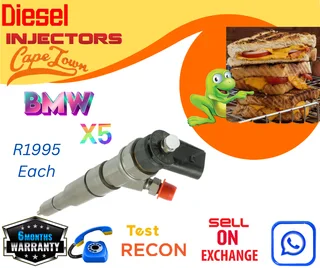 BMW X5 diesel injectors