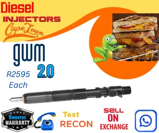 GWM 2 L Delphi diesel injectors