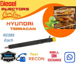 Hyundai Terracan diesel injectors