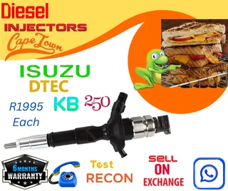 Isuzu Dtec KB250 diesel injectors