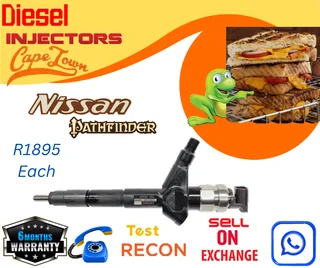 Nissan Pathfinder diesel injectors