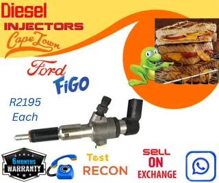 Ford Figo diesel injectors