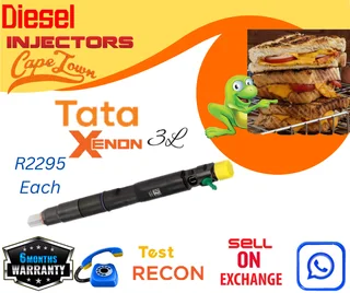 Tata Xenon 3 L diesel injectors