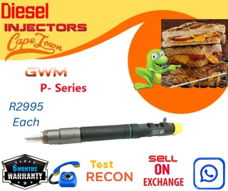 GWM Pseries diesel injectors
