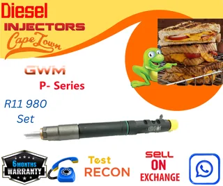 GWM Pseries Set diesel injectors