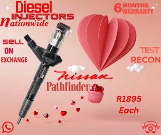 Nissan Pathfinder diesel injectors