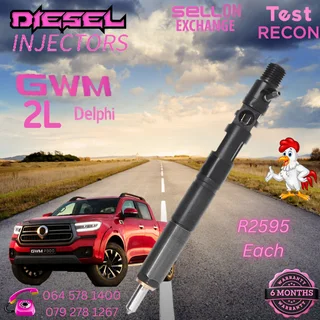 GWM 2L Delphi diesel injectors