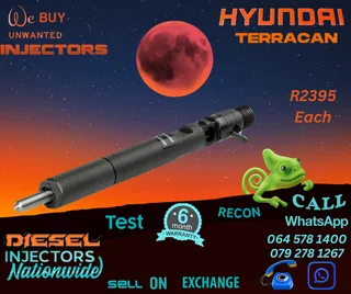 Hyundai Terracan diesel injectors