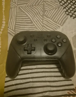 Nintendo switch pro controller