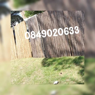 Bamboo and wood fencing