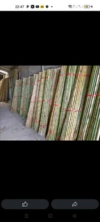 Bambooo and wood fencing