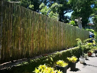 Wood and bamboo fencing