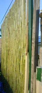 Wood and bamboo fencing
