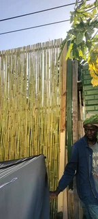 Wood and bamboo fencing