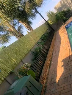 Bamboo and droppers fencing