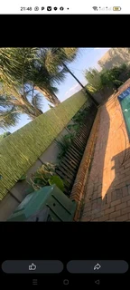 Bamboo and droppers fencing