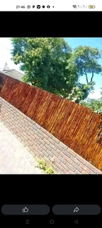 Bamboo and droppers fencing