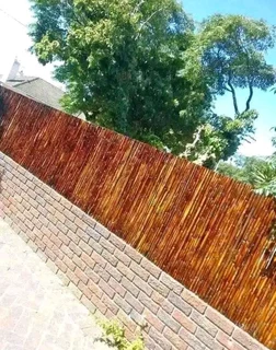 Bamboo and droppers fencing