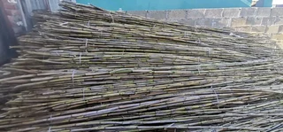 Ioose bambooo it&#39;s available please