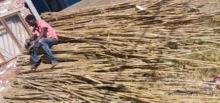 Ioose bambooo it&#39;s available please