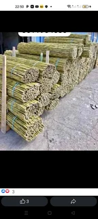 Ioose bambooo it&#39;s available please