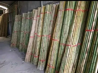 Ioose bambooo it&#39;s available please