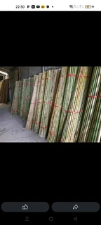 Ioose bambooo it&#39;s available please